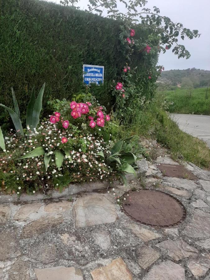 Casa La Hayuela Molleda Villa Eksteriør bilde